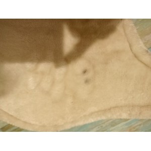 Sangle bavette mouton