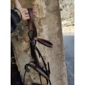 Bridon muserolle combinée epona marron