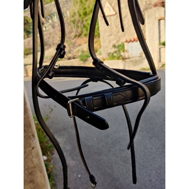 Bridon/filet muserolle combinée noir norton