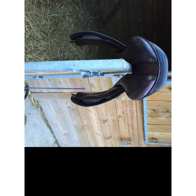 SELLE ÉQUIPE EXPRESSION