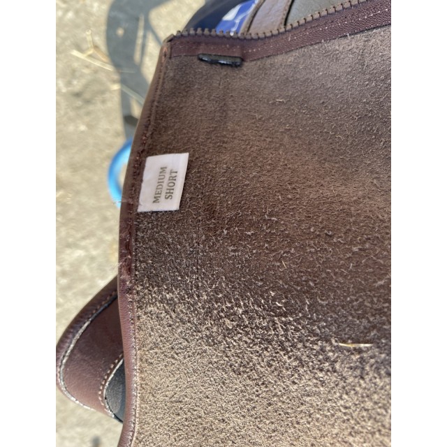 Mini chaps equithème Élite adulte