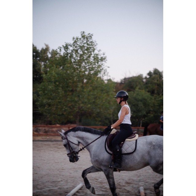 Tapis cheval gris