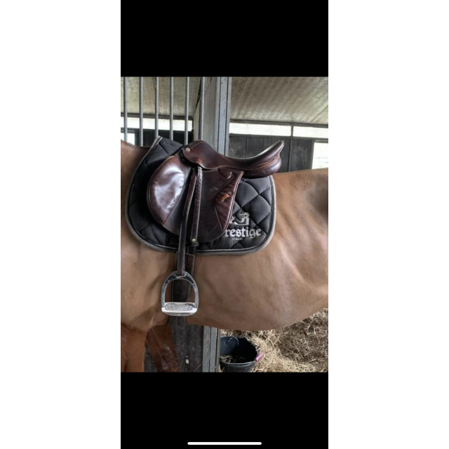 Selle prestige
