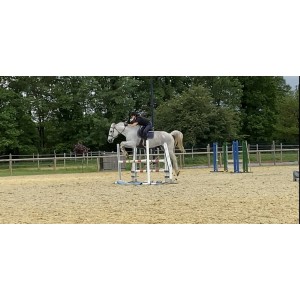 Gilet dainese balios 3