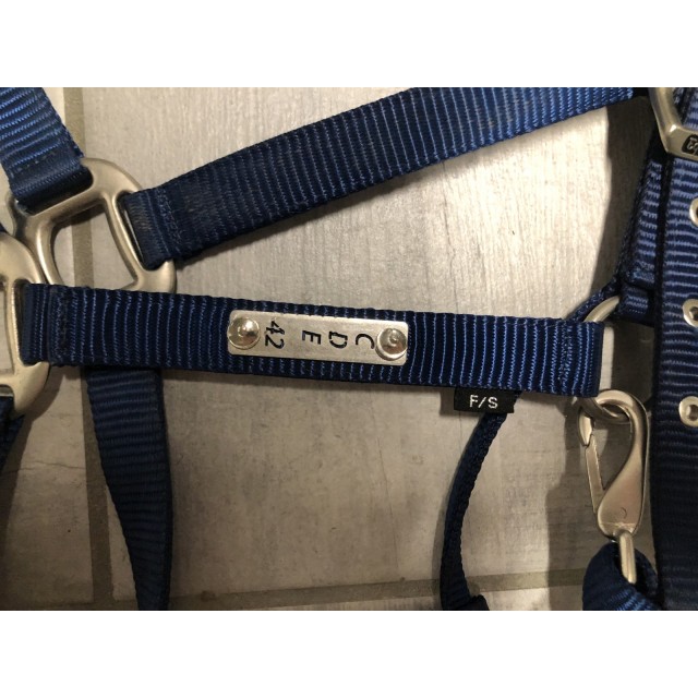 Licol bleu électrique