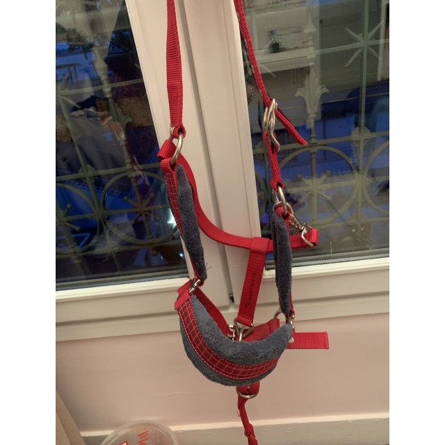 Licol + longe Fouganza