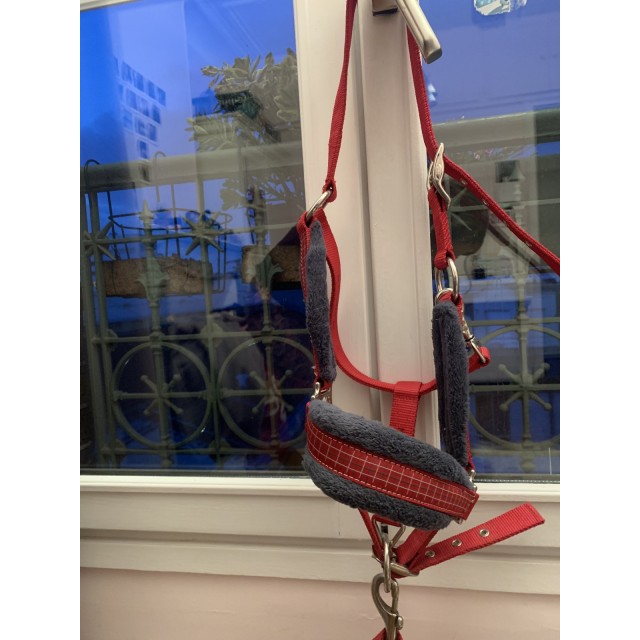 Licol + longe Fouganza