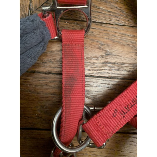 Licol + longe Fouganza