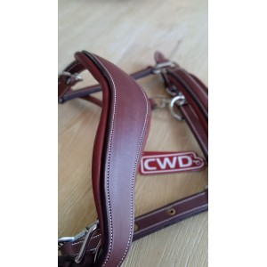 Licol cwd neuf taille cheval