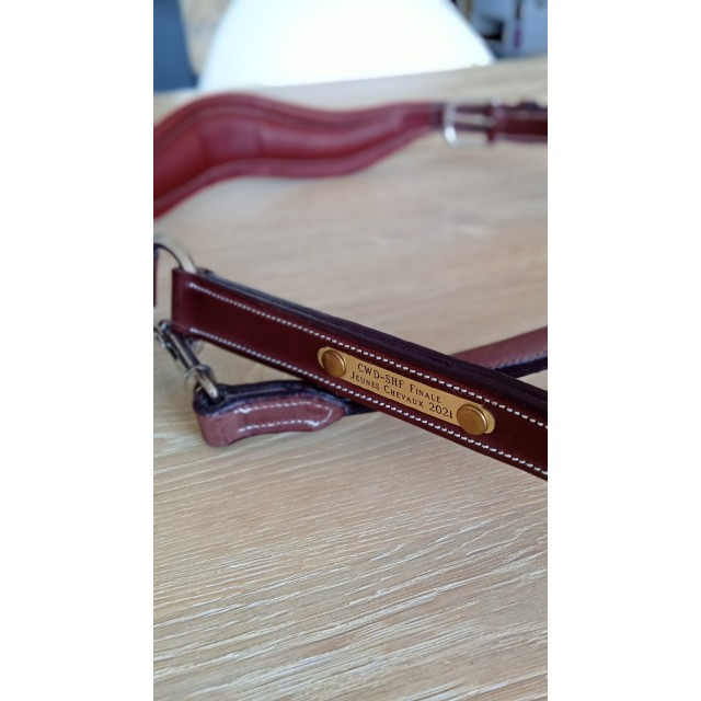 Licol cwd neuf taille cheval