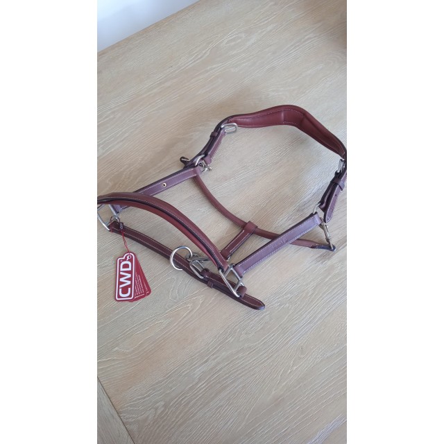 Licol cwd neuf taille cheval