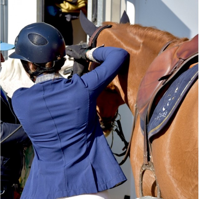 Veste animo bleue marine