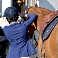 Veste animo bleue marine