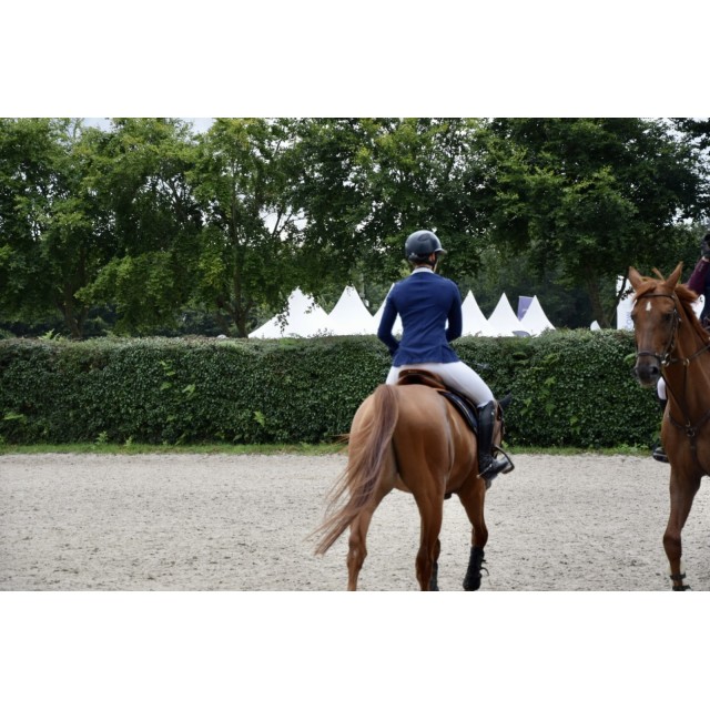 Veste animo bleue marine