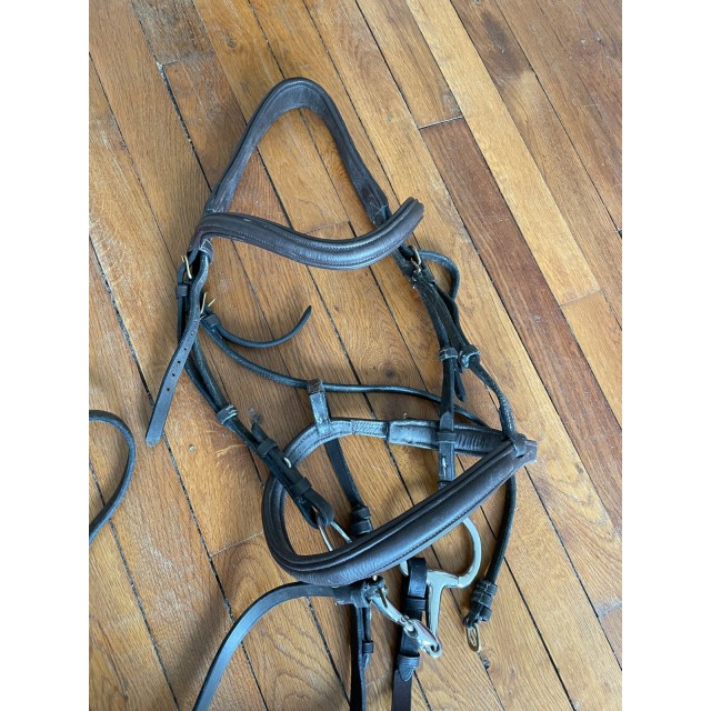 hfi Bridon anatomique