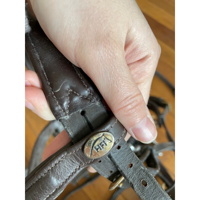 hfi Bridon anatomique