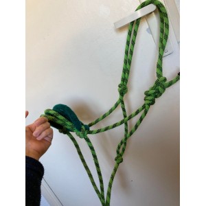 Licol éthologique et longe vert