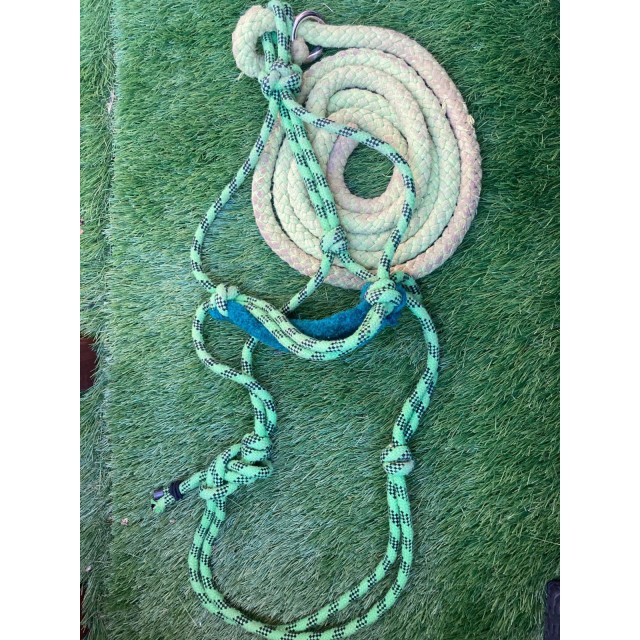 Licol éthologique et longe vert