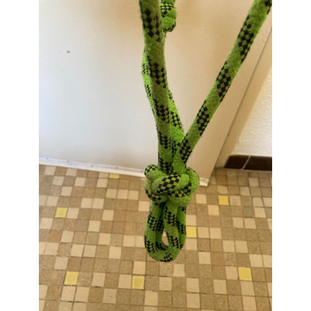 Licol éthologique et longe vert