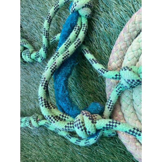 Licol éthologique et longe vert