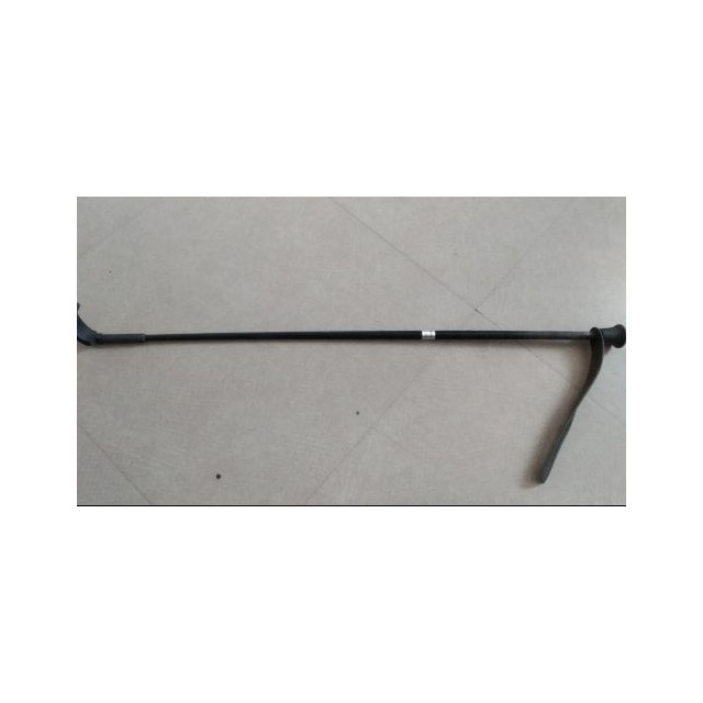 Cravache noire Edward Goddart