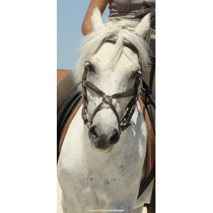 Filet marron Fouganza