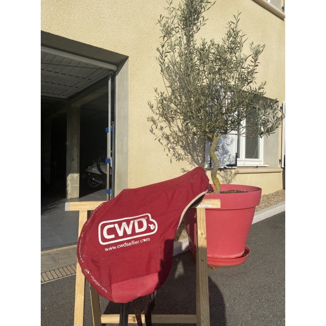 Selle cwd