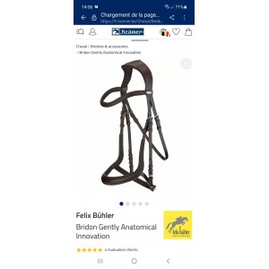 Bridon Felix Bühler