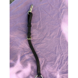 collier de chasse HFI master