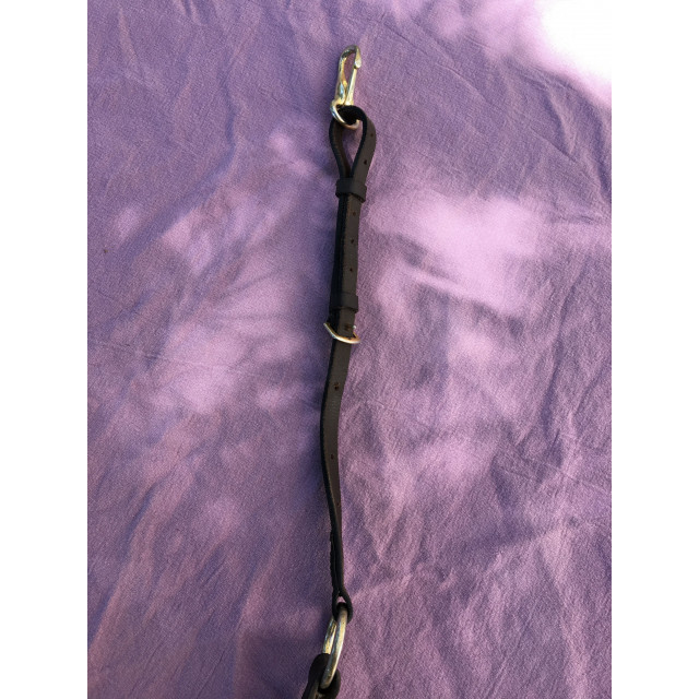 collier de chasse HFI master