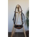 bridon tourné dressage marron 07 68 79 17 03