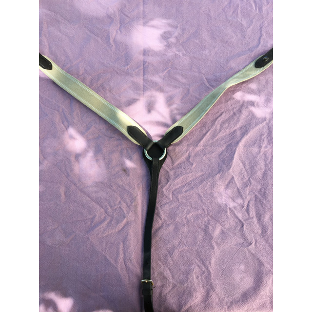 collier de chasse HFI master