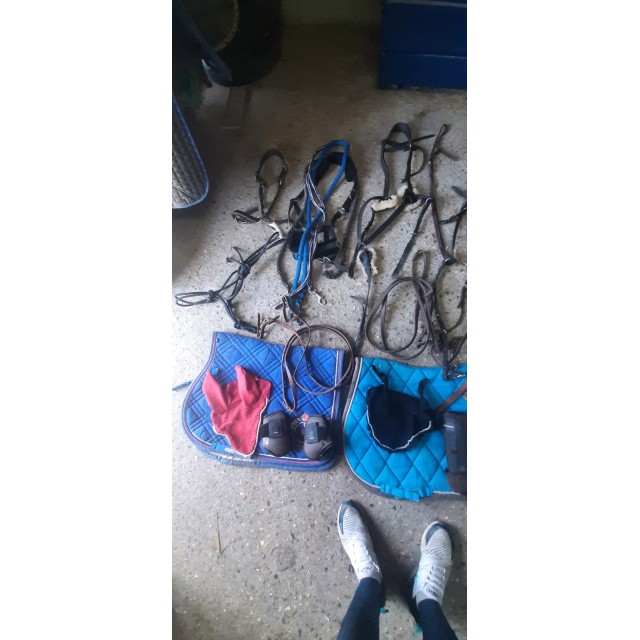 Lot taille cheval