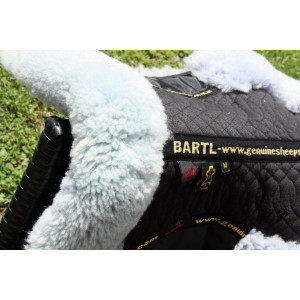 Amortisseur BARTL