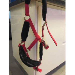 Licol horse Riding rose