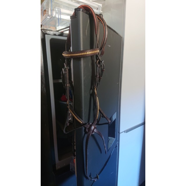 Frontal et muserolle croisée clincher