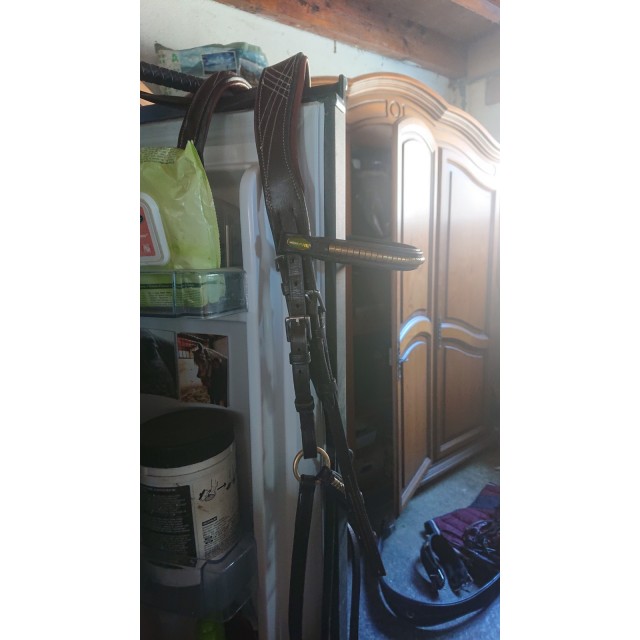 Frontal et muserolle croisée clincher