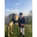 Licol kentucky