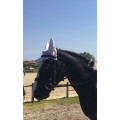 Bonnet blanc equitheme