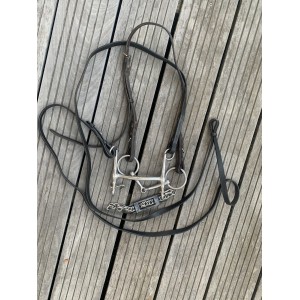 Mors et rênes de bride