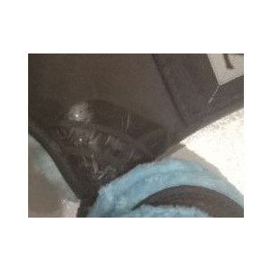 ensemble guètres et protège boulet