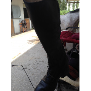 Bottes Félix bülher