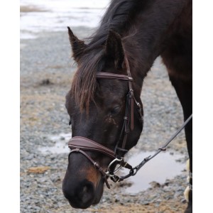 filet jump in bruxelles