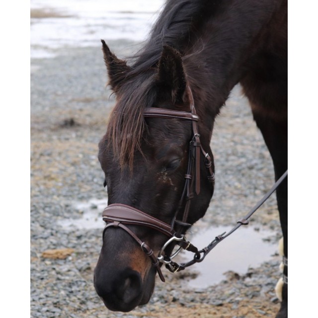 filet jump in bruxelles