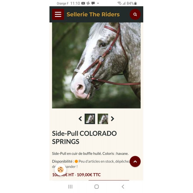 Side-pull colorado springs