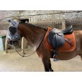 Sangle 125cm
