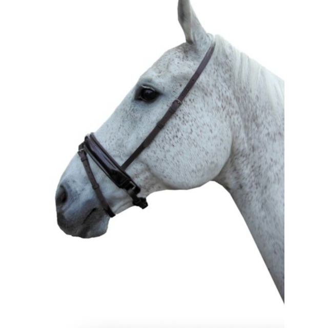 Muserolle combinée Horka