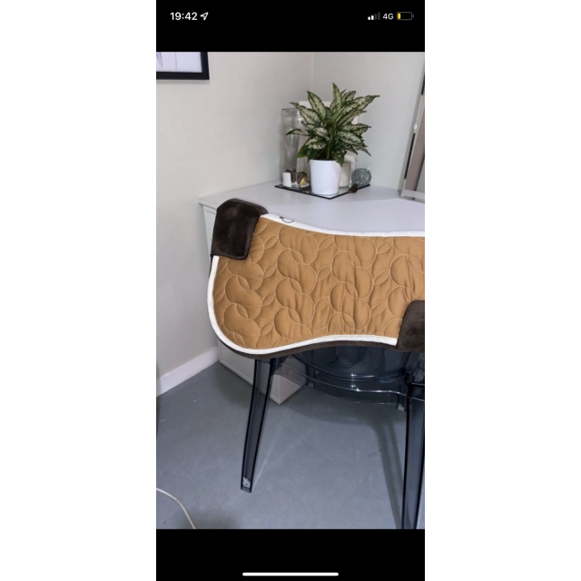 Amortisseur Fouganza