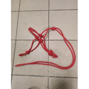 Licol éthologique rouge