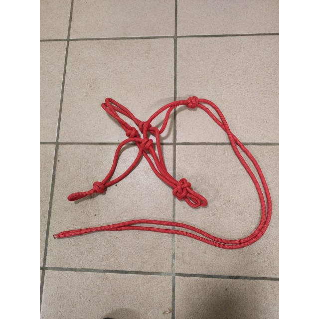 Licol éthologique rouge